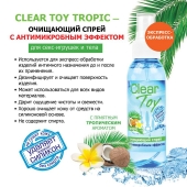 Очищающий спрей для игрушек CLEAR TOY Tropic - 100 мл. - Биоритм - купить с доставкой в Бийске