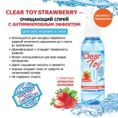 Очищающий спрей для игрушек CLEAR TOY Strawberry - 100 мл. - Биоритм - купить с доставкой в Бийске