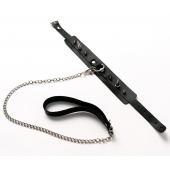 Черный ошейник с шипами и поводком - Crazy Handmade - купить с доставкой в Бийске