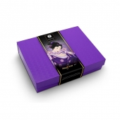 Подарочный набор Naughter Kit - Shunga - купить с доставкой в Бийске