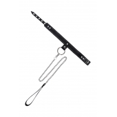 Черный узкий однослойный ошейник с серебристым поводком-цепочкой - Pecado - купить с доставкой в Бийске