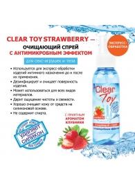 Очищающий спрей для игрушек CLEAR TOY Strawberry - 100 мл. - Биоритм - купить с доставкой в Бийске