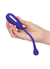 Фиолетовый шарик с электростимуляцией и вибрацией Intimate E-Stimulator Remote Kegel Exerciser - California Exotic Novelties - купить с доставкой в Бийске