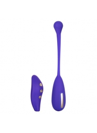 Фиолетовый шарик с электростимуляцией и вибрацией Intimate E-Stimulator Remote Kegel Exerciser - California Exotic Novelties - купить с доставкой в Бийске