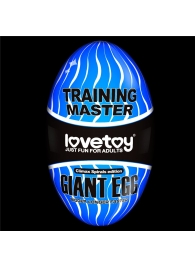 Мастурбатор-яйцо Giant Egg Climax Spirals Edition - Lovetoy - в Бийске купить с доставкой