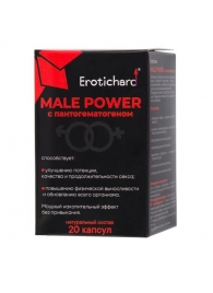 Капсулы для мужчин Erotichard male power с пантогематогеном - 20 капсул (0,370 гр.) - Erotic Hard - купить с доставкой в Бийске