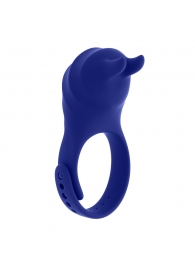 Синее эрекционное виброкольцо с клиторальной подушечкой и пультом ДУ Adjustable Fun Ring - Zero Tolerance - в Бийске купить с доставкой