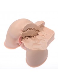 Мастурбатор-полуторс Naked Factory Kate - Naked Factory - в Бийске купить с доставкой