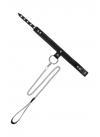 Черный узкий однослойный ошейник с серебристым поводком-цепочкой - Pecado - купить с доставкой в Бийске