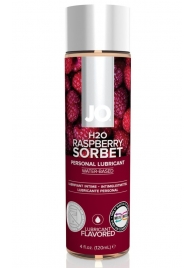 Лубрикант на водной основе с ароматом малины JO Flavored Raspberry Sorbet - 120 мл. - System JO - купить с доставкой в Бийске