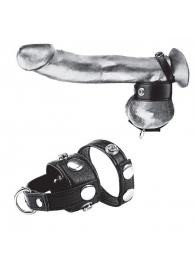 Утяжка для мошонки и пениса Cock Ring With 1  Ball Stretcher And Optional Weight Ring - BlueLine - купить с доставкой в Бийске