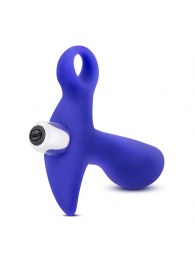 Синий стимулятор простаты с ручкой-кольцом Performance Prostimulator 02 - Blush Novelties - в Бийске купить с доставкой