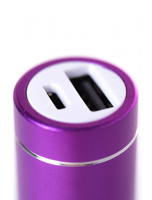 Портативное зарядное устройство A-toys 2400 mAh microUSB - A-toys - купить с доставкой в Бийске