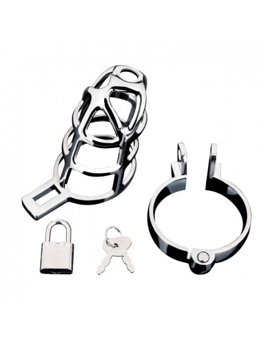 Серебристая металлическая клетка для члена с замком Enslave Cock Cage - BlueLine - купить с доставкой в Бийске