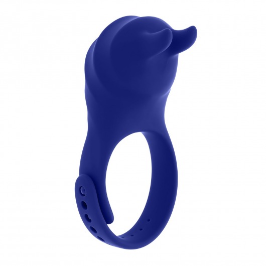 Синее эрекционное виброкольцо с клиторальной подушечкой и пультом ДУ Adjustable Fun Ring - Zero Tolerance - в Бийске купить с доставкой