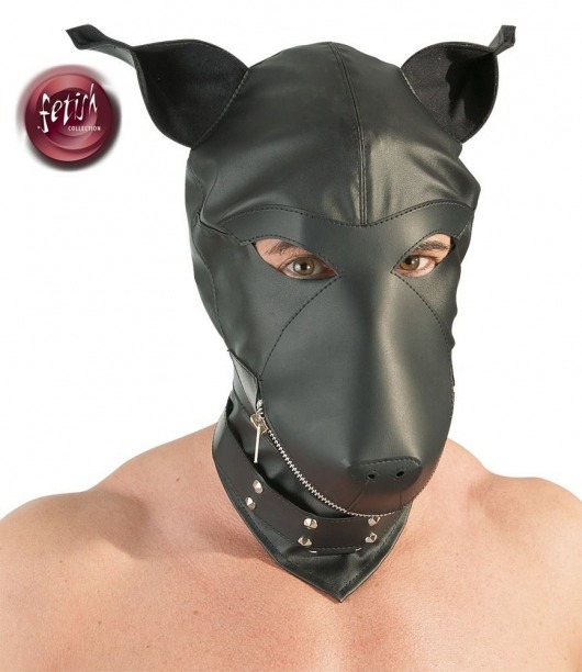 Шлем-маска Dog Mask в виде морды собаки - Orion - купить с доставкой в Бийске