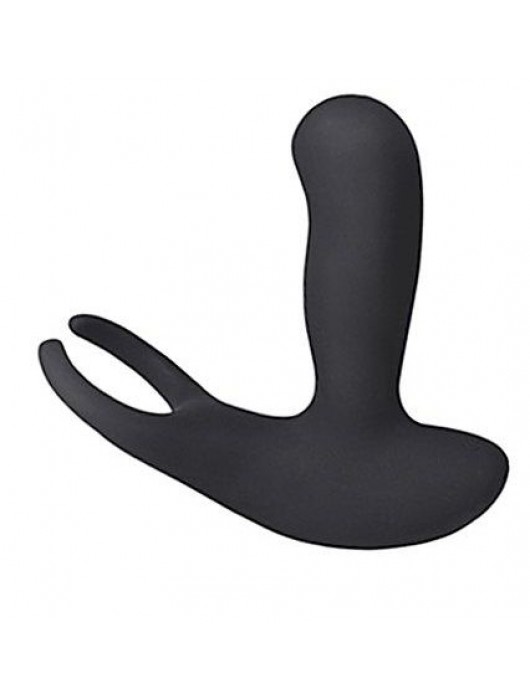 Стимулятор простаты Levett Earl с 2 моторами и пультом ДУ - Levett - в Бийске купить с доставкой