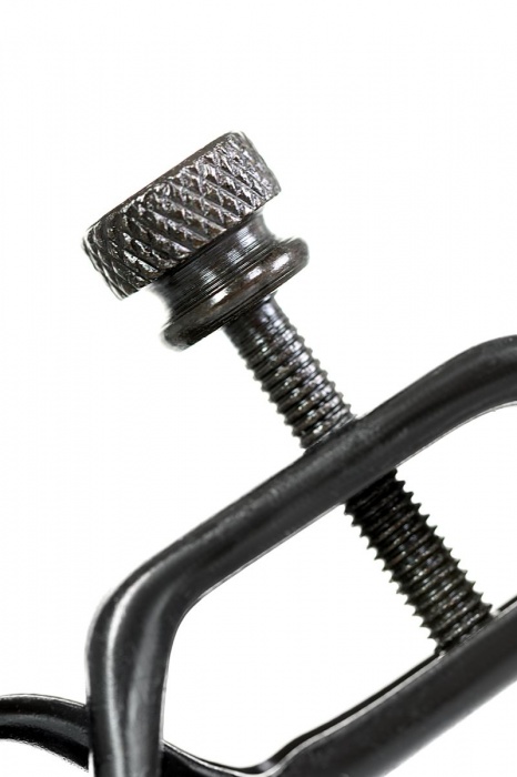 Черно-золотистые зажимы для сосков TOYFA Theatre - ToyFa - купить с доставкой в Бийске