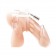Прозрачная клетка целомудрия Acrylic See-thru Chastity Cage - BlueLine - купить с доставкой в Бийске