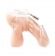 Прозрачная клетка целомудрия Acrylic See-thru Chastity Cage - BlueLine - купить с доставкой в Бийске